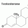 Testosterone1488